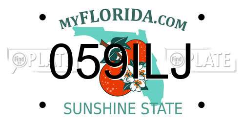 059ILJ Florida License Plate