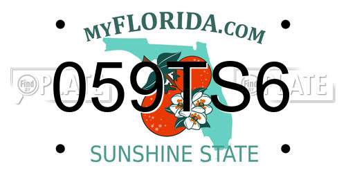 059TS6 Florida License Plate