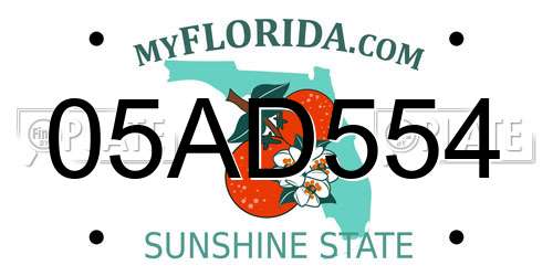 05AD554 Florida License Plate