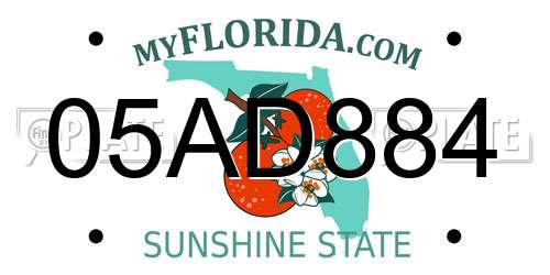 05AD884 Florida License Plate