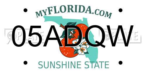 05ADQW Florida License Plate