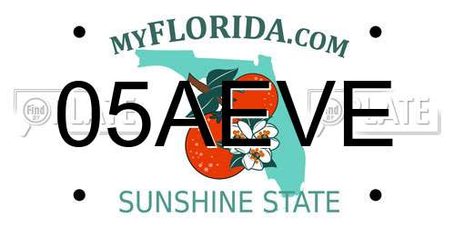 05AEVE Florida License Plate