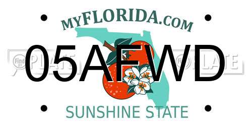 05AFWD Florida License Plate