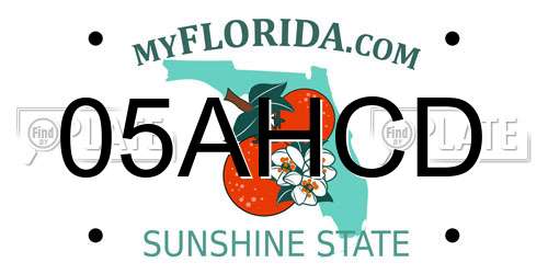 05AHCD Florida License Plate