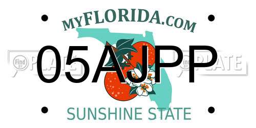 05AJPP Florida License Plate