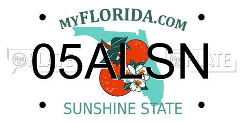 05ALSN Florida License Plate