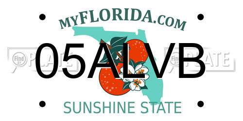 05ALVB Florida License Plate