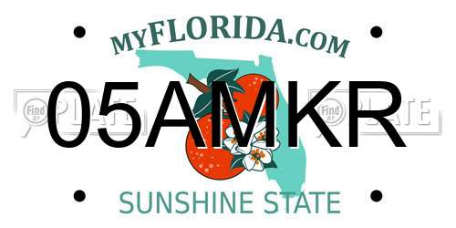 05AMKR Florida License Plate