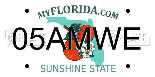05AMWE Florida License Plate