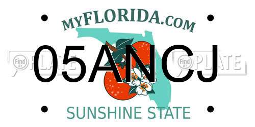 05ANCJ Florida License Plate