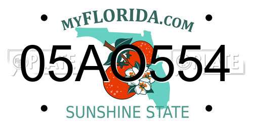 05AO554 Florida License Plate