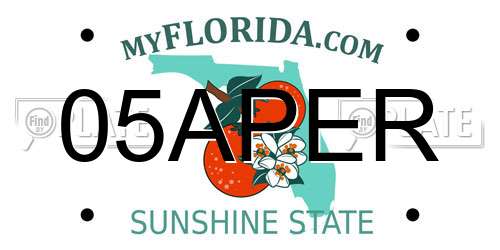 05APER Florida License Plate