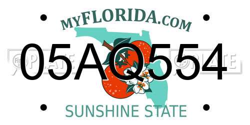 05AQ554 Florida License Plate