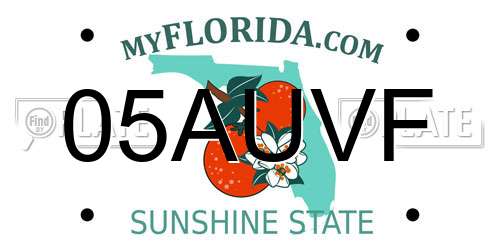 05AUVF Florida License Plate