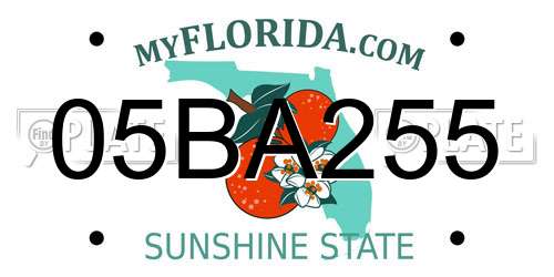05BA255 Florida License Plate