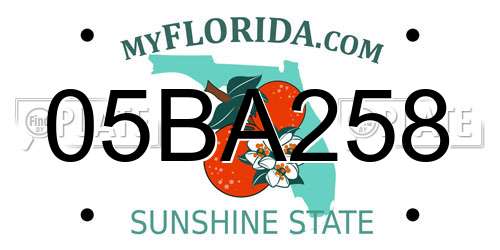 05BA258 Florida License Plate