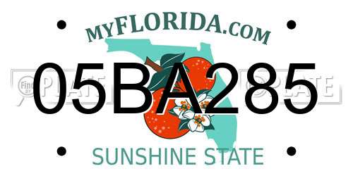 05BA285 Florida License Plate
