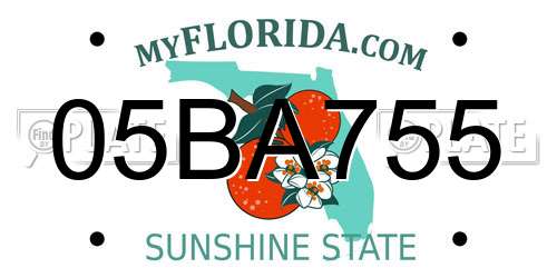 05BA755 Florida License Plate