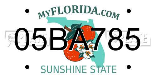 05BA785 Florida License Plate