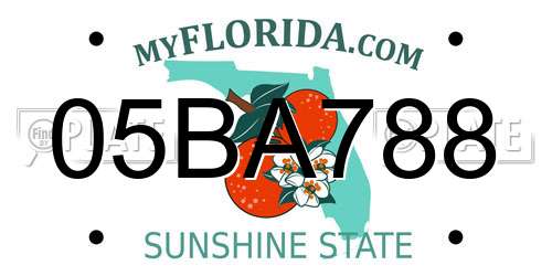 05BA788 Florida License Plate