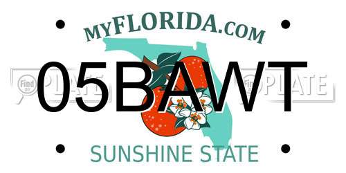 05BAWT Florida License Plate
