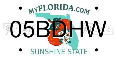 05BDHW Florida License Plate