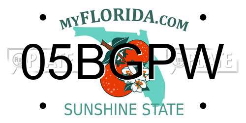 05BGPW Florida License Plate