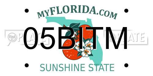 05BITM Florida License Plate