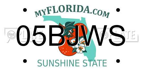 05BJWS Florida License Plate