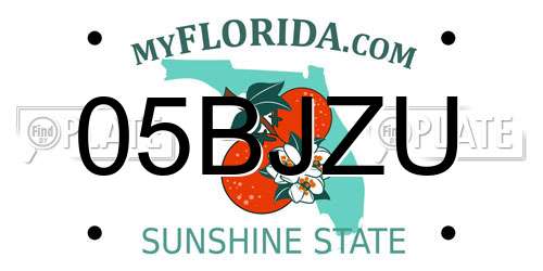 05BJZU Florida License Plate