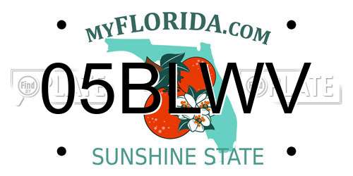 05BLWV Florida License Plate
