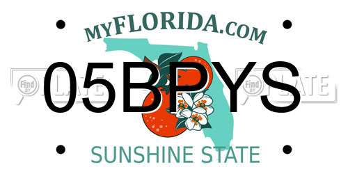 05BPYS Florida License Plate