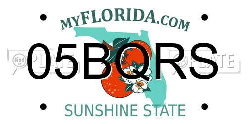 05BQRS Florida License Plate