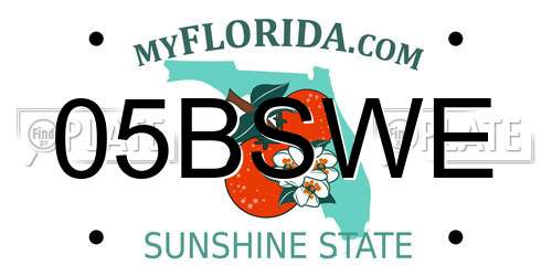 05BSWE Florida License Plate