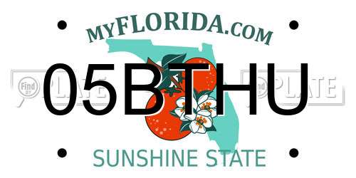 05BTHU Florida License Plate