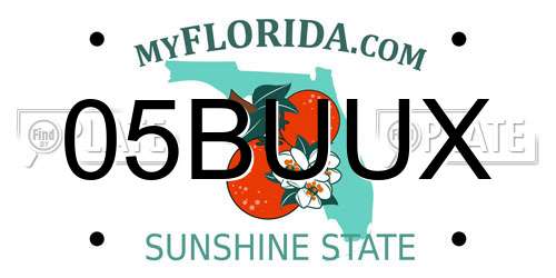 05BUUX Florida License Plate