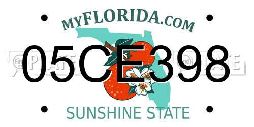 05CE398 Florida License Plate