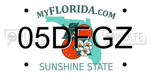 05DFGZ Florida License Plate