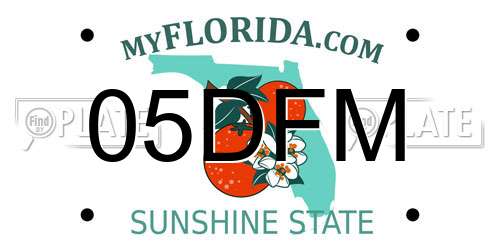 05DFM Florida License Plate