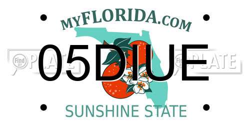 05DIUE Florida License Plate