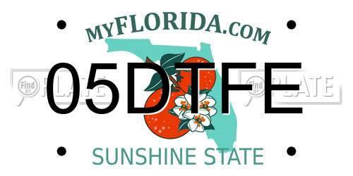05DTFE Florida License Plate