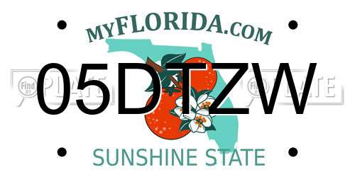 05DTZW Florida License Plate