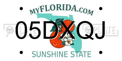 05DXQJ Florida License Plate