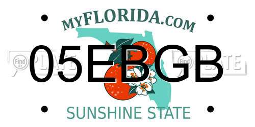 05EBGB Florida License Plate