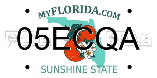 05ECQA Florida License Plate