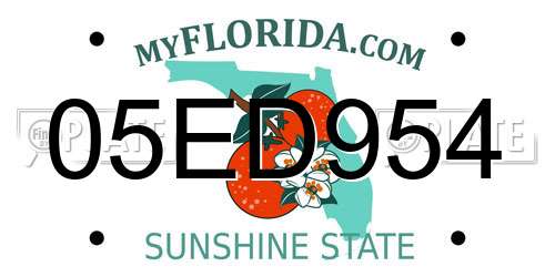 05ED954 Florida License Plate