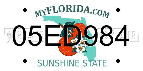 05ED984 Florida License Plate