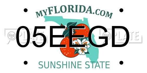 05EEGD Florida License Plate