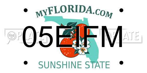 05EIFM Florida License Plate