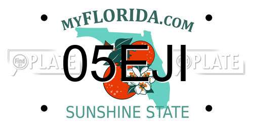 05EJI Florida License Plate
